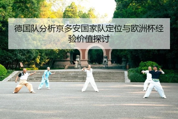德国队分析京多安国家队定位与欧洲杯经验价值探讨